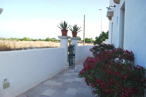 Inner courtyard view