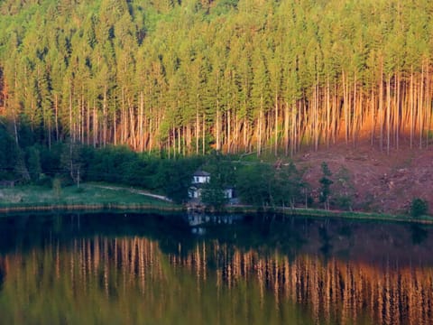 Natural landscape, On site