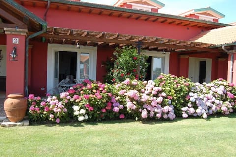 La Pecora Ladra Appartamenti Apartment in Lazio