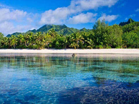 Beach, Sea view