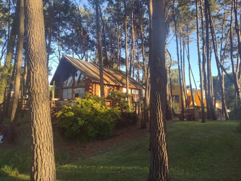 Property building, Garden view