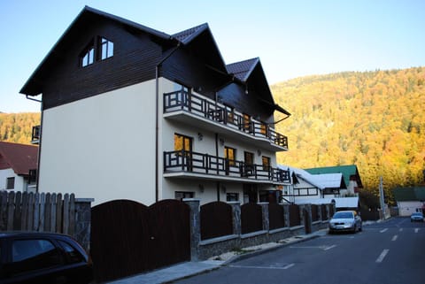 Casa Amurg House in Sinaia