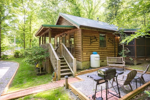 Cozy Bear Haus in Sevierville