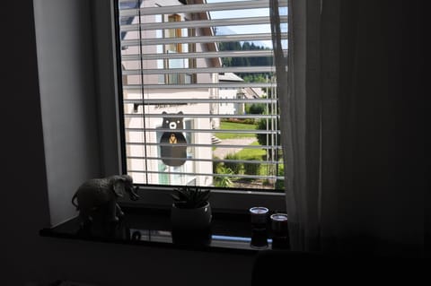 Apartman Benjo Apartment in Friuli-Venezia Giulia