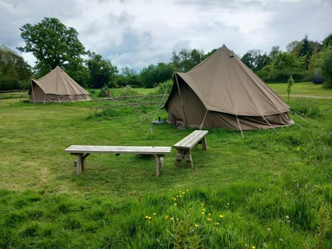 Gaggle of Geese Pub - Shepherd Huts & Bell Tents Country House in North Dorset District