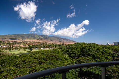 The Westin Maui Resort & Spa, Ka'anapali Resort in Kaanapali