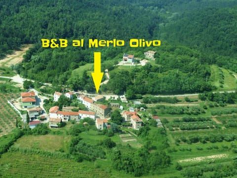 al Merlo Olivo, rural istrian house Bed and Breakfast in Istria County