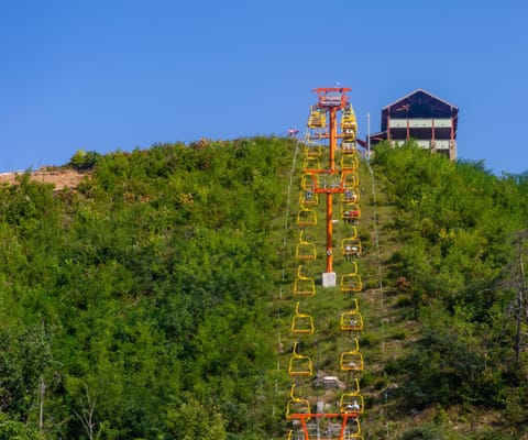 Smoky Bear Lodge with Guest House House in Sevier County