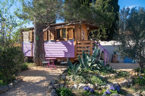 Property building, Garden, Dining area