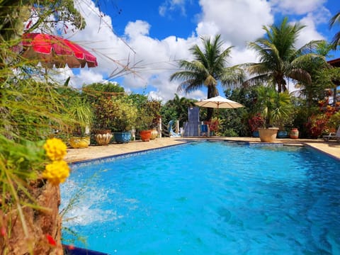 Day, Garden, Garden view, Pool view, Swimming pool