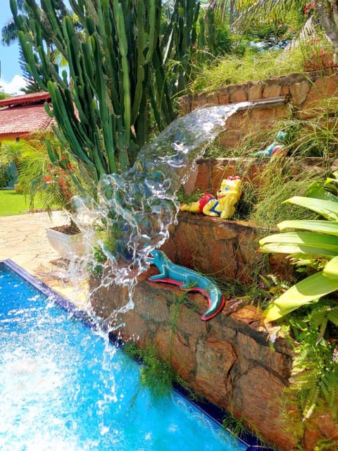 Day, Garden view, Pool view, Swimming pool