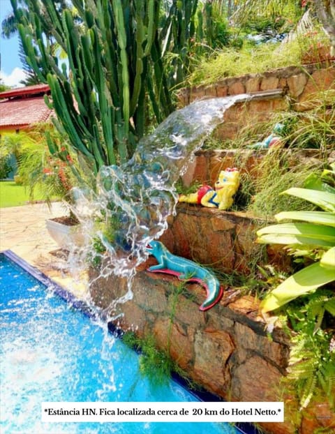 Day, Garden, Garden view, Pool view, Swimming pool