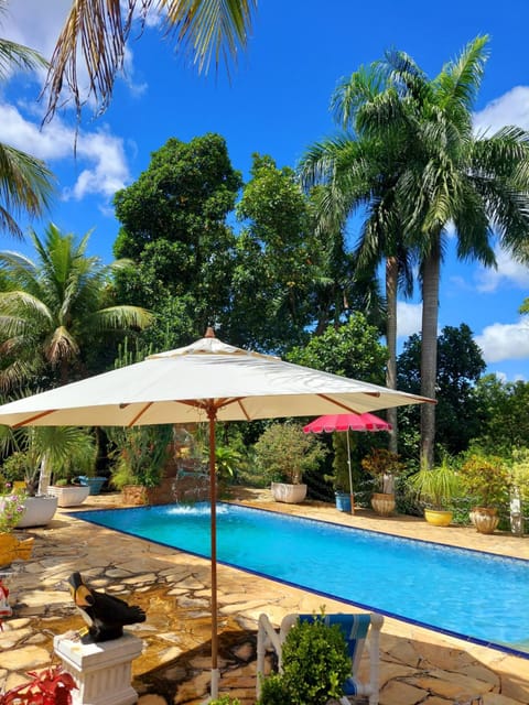 Day, Garden, Garden view, Pool view, Swimming pool