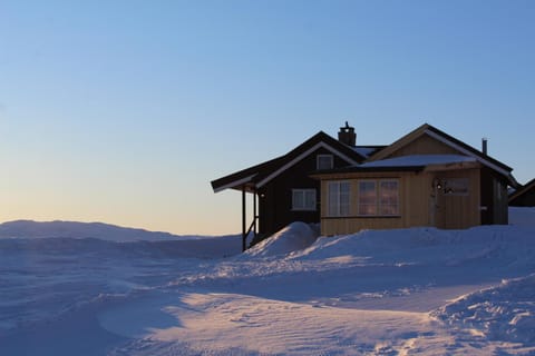 Property building, Winter