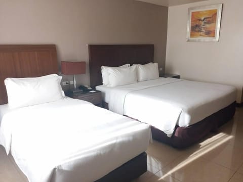 Mandarin Plaza Hotel Hotel in Lapu-Lapu City