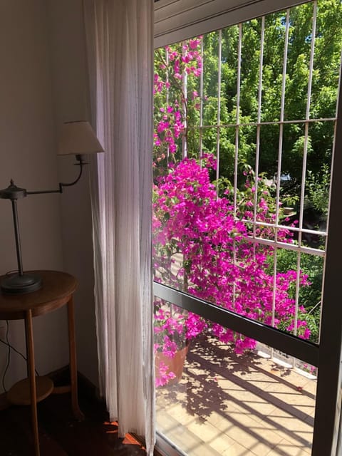 Balcony/Terrace, Garden view