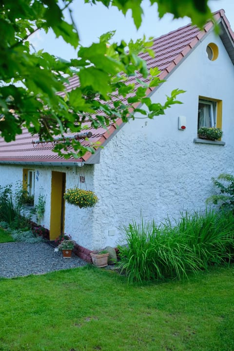 Property building, Summer, Garden, Garden view