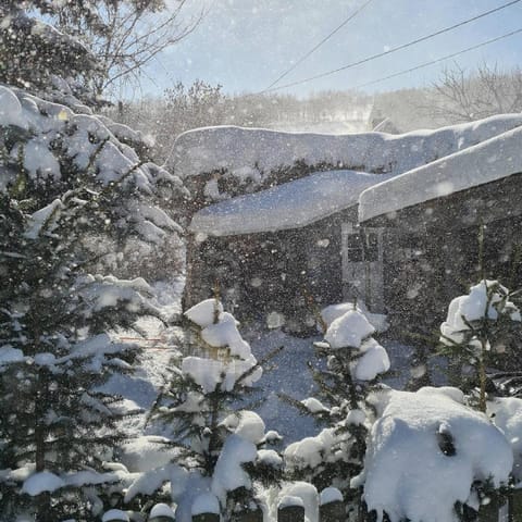 Natural landscape, Winter, Garden, Seating area, Garden view