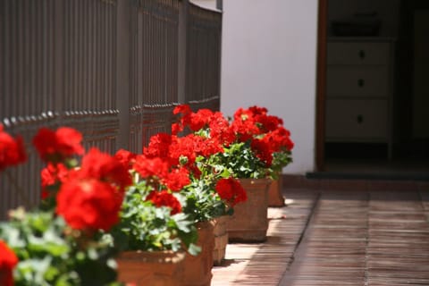 B&B Il Vicolo Übernachtung mit Frühstück in Anacapri