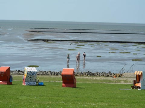 Activities, Beach