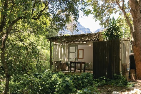 Natural landscape, Garden