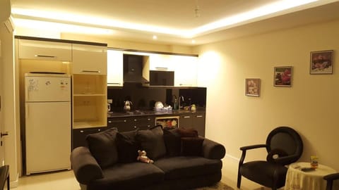 Aysel Manyas Residence Condo in Alanya