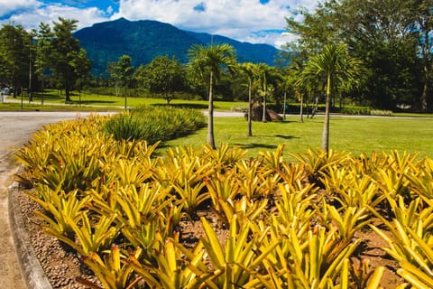 Nearby landmark, Natural landscape, Garden