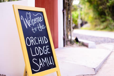 ORCHID LODGE SAMUI - Bed & Breakfast House in Ko Samui
