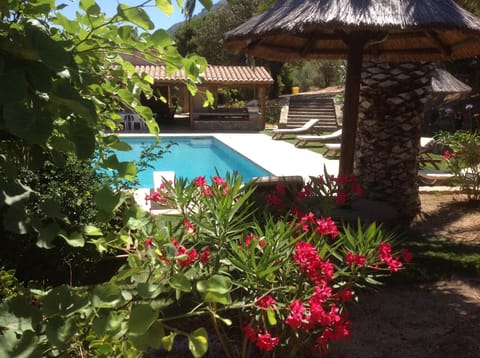 Pool view