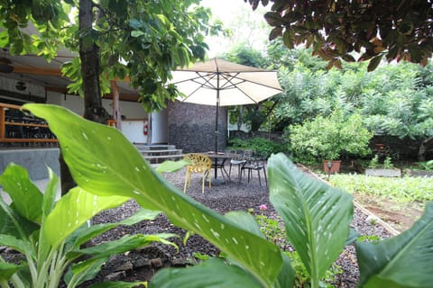 Patio, Garden, Garden view