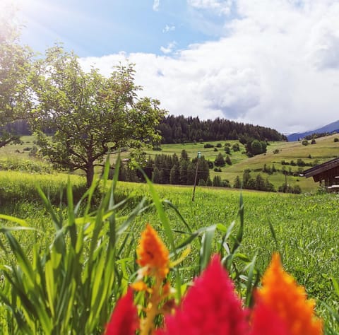 Abenteuerhof Apartment in Trentino-South Tyrol
