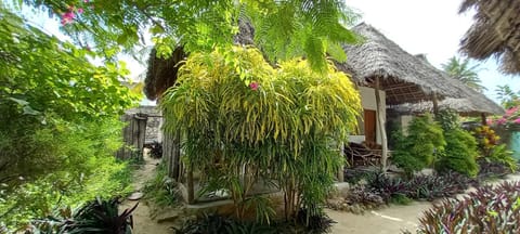 Garden, Garden view