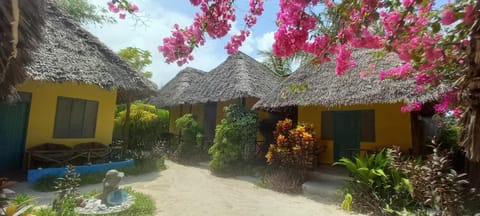 Property building, Garden, Garden view