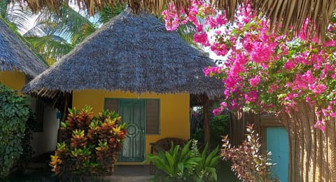 Morningstar Bungalows Zanzibar Bed and Breakfast in Matemwe