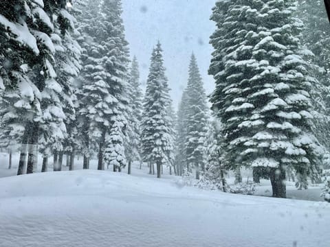 Bear Meadows Lodge - Hot Tub - Tahoe Donner Home Haus in Truckee