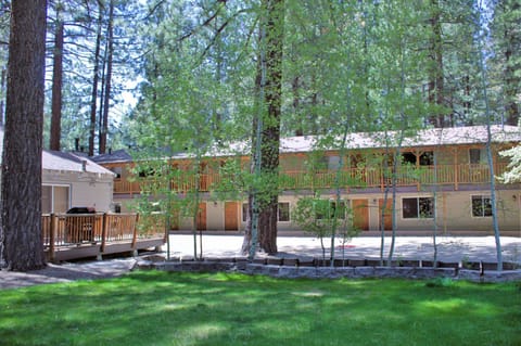 Goldmine Lodge Capanno nella natura in Big Bear