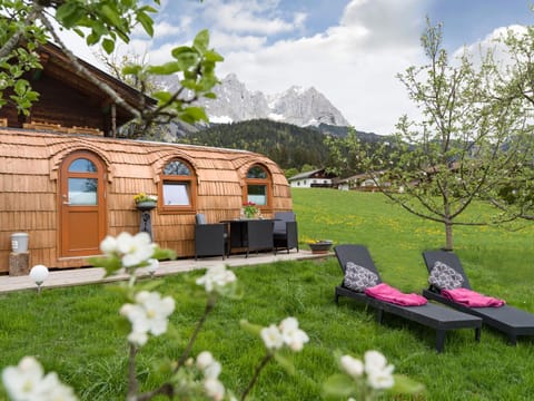 Property building, Day, Garden, sunbed