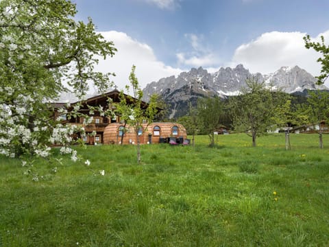 Property building, Day, Garden