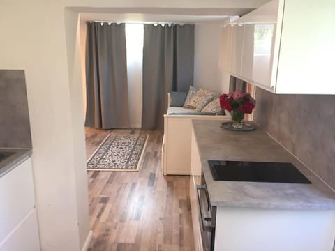 Extraordinary apartment with double shower Apartment in Västra Götaland County
