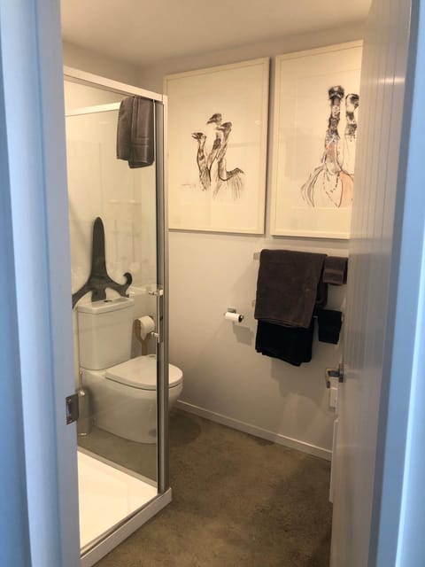 Shower, Toilet