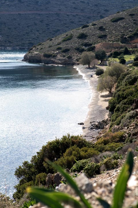 Natural landscape, Beach