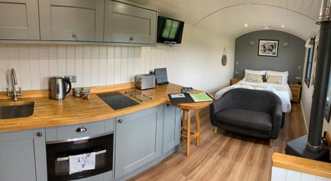 Bed, TV and multimedia, Kitchen or kitchenette, fireplace