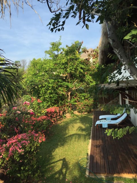 Day, Garden, Garden view, sunbed