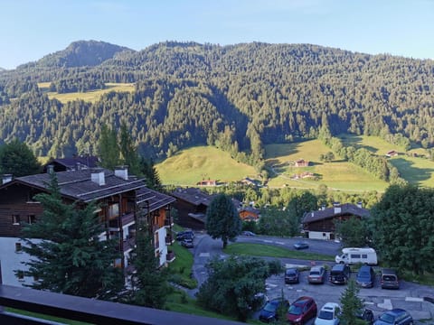 Neighbourhood, Natural landscape, Summer, Mountain view