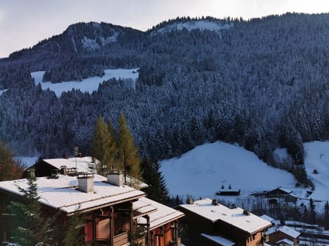 Neighbourhood, Natural landscape, Winter, Mountain view