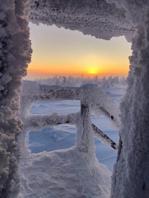 Natural landscape, Winter, Sunrise