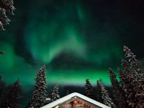 Isokelo Log Apartments Chalet in Lapland