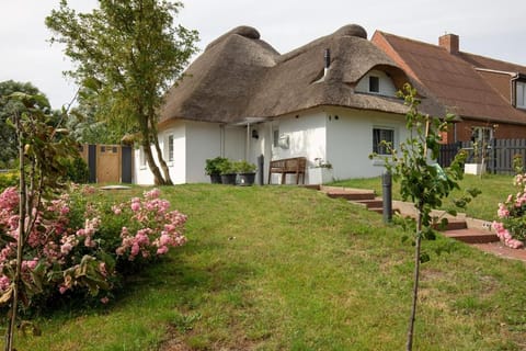 Property building, Facade/entrance, Garden