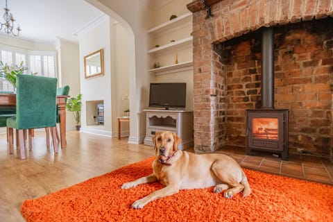 Living room, Pets