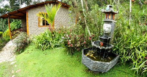 Garden, Garden view, Breakfast